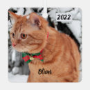 Zoek naar gekke ornamenten Kat