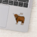 Recherche de vache à illustration Bétail