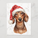 Recherche de chien de saucisse posters Aquarelle