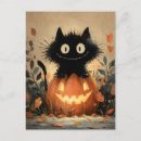 Zoek naar roodborstje briefkaarten Schattig