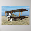 Recherche de camel posters Chameau