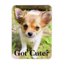 Recherche de vous avez obtenu ceci magnets Pour tous