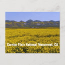 Zoek naar plain briefkaarten Bloemen
