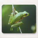 Recherche de frog tapis souris Tree