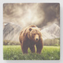 Zoek naar grizzly onderzetters Bergen