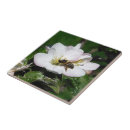 Recherche de abeille miel carreaux Pollinisateurs