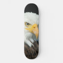Zoek naar vogels skateboards Modern