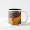 Recherche de vignoble tasses Janis miglavs
