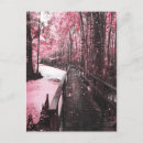 Recherche de marécage cartes postales Carolina sud