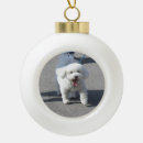 Recherche de frise de bichon ornements Vacances