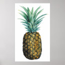 Recherche de ananas tropical posters Vert