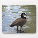 Recherche de facture tapis souris Oiseau