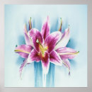 Zoek naar witte iris posters Paars en wit