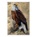 Recherche de dessin d aigle posters Aquarelle
