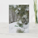 Zoek naar mussen kaarten Kerstmis