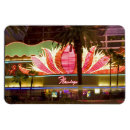 Zoek naar las vegas magnets Casino's