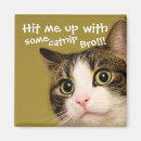 Recherche de photo drôle de chat magnets Chats