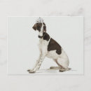 Recherche de dressing cartes postales Plan studio
