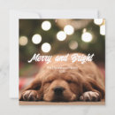 Recherche de noel de joyeux invitations Joyeux et lumineux