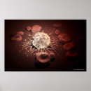 Zoek naar cel posters Uitzicht