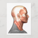 Recherche de visage humain cartes postales Tendon
