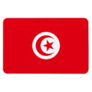 Recherche de drapeau tunisie magnets Tunisien