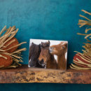 Recherche de cheval islandais plaques Montagne