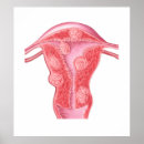 Recherche de tumeur posters Illustrations biomédicales