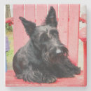 Recherche de scottie dessous de verres Terrier écossais