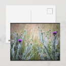 Recherche de chardons cartes postales Toute personne