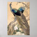 Zoek naar pauwen kunst Bloem