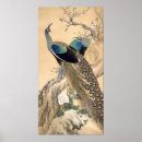 Recherche de paons art Floral