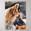 Recherche de alsacien posters Gsd