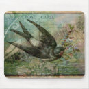 Recherche de hirondelles tapis souris Cru