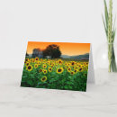 Zoek naar sunrises posters Hemel