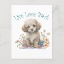 Zoek naar poedel hond briefkaarten Hondenras