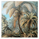 Recherche de ancien carreaux Botanique