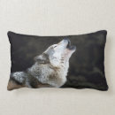 Recherche de loup neige de coussins Nature