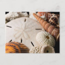 Zoek naar assorted briefkaarten Assorment