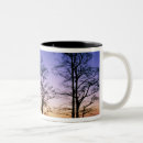 Recherche de cypr tasses Cyprès chauve