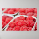 Recherche de couleur framboise posters Coloré
