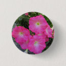 Recherche de pétunia badges Fleurs