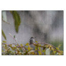 Recherche de colibris planches à découper Faune