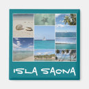 Recherche de vacation magnets Palm trees