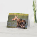 Recherche de élan vœux cartes Vache