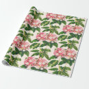 Recherche de rose de montagne Boho