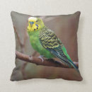 Recherche de perruque coussins Vert