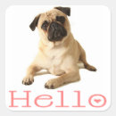 Recherche de chiot carlin autocollants Bonjour