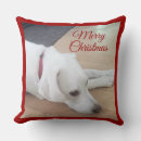 Recherche de labrador retriever décoration coussins Toute personne