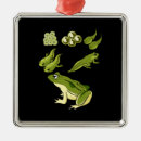 Recherche de la biologie ornements Scientifique